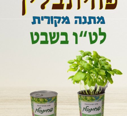 פחית תבלין