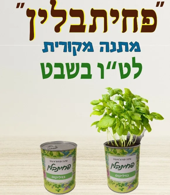 פחית תבלין