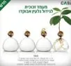 מעמד זכוכית לגלעין