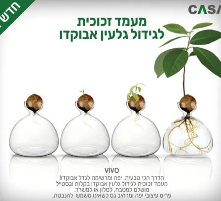 מעמד זכוכית לגלעין