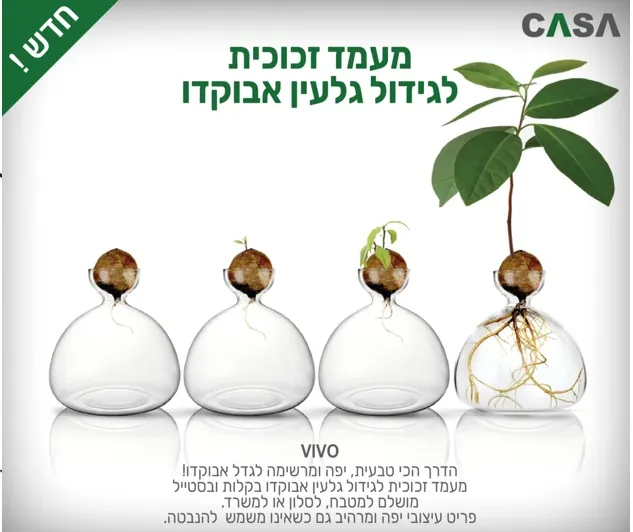 מעמד זכוכית לגלעין